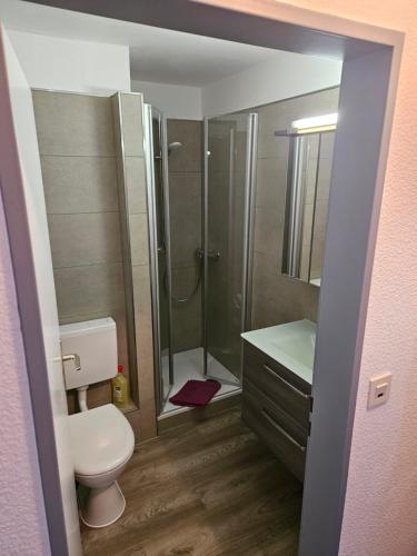 a bathroom with a shower and a toilet and a sink at Ferienwohnungen Wiese in Norddeich