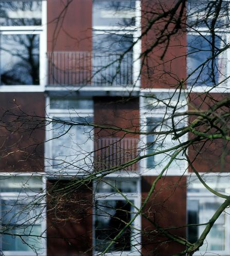 a tree branch with a building in the background at Parkhotel Izegem in Izegem