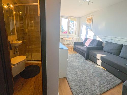 salon z niebieską kanapą i łazienką w obiekcie Apartament Parkowy Rabka w Rabce