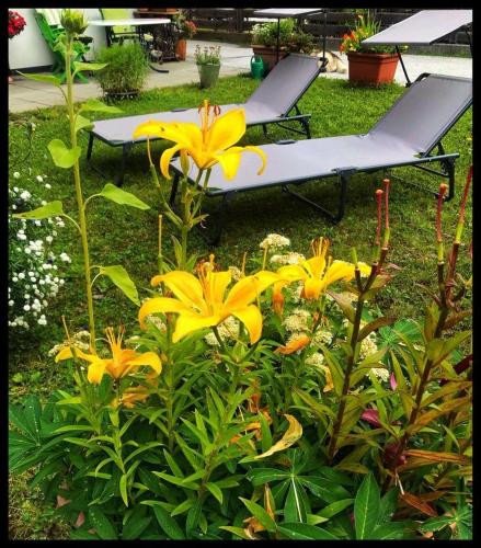 a garden with yellow flowers and a chaise lounge at Appartement Berghof "Dettis Place" in Gerlos