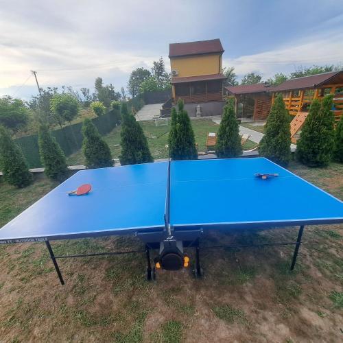 a blue ping pong table in a yard at Mihajlova oaza in Neštin