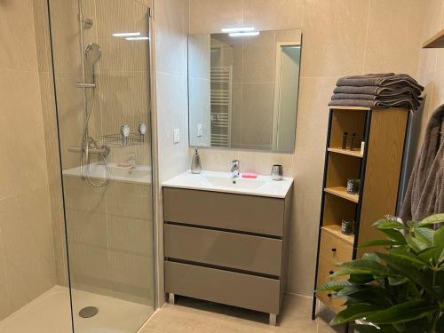 une salle de bain avec une douche, un lavabo et un miroir dans l'établissement T2 neuf tout équipé ! Climatisation, wifi, parking privatif, à Saint-Mandrier-sur-Mer