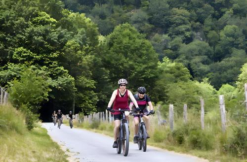 two people riding bikes down a bike path at Vivienda Rural Perotxenea Landetxea in Doneztebe