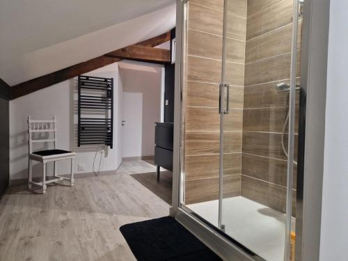 une salle de bain avec une douche avec une porte vitrée dans l'établissement Hebergement et Etapes equestres, à Bégaar