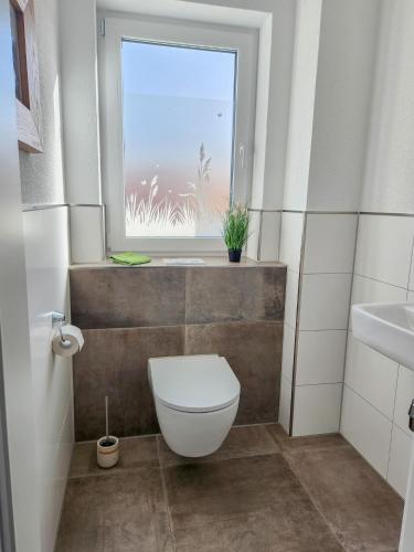 a bathroom with a toilet and a window at Haus Sonnengruss in Salem