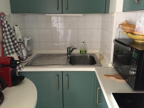 une cuisine avec des armoires vertes et un évier dans l'établissement Studio CANNES, à Cannes