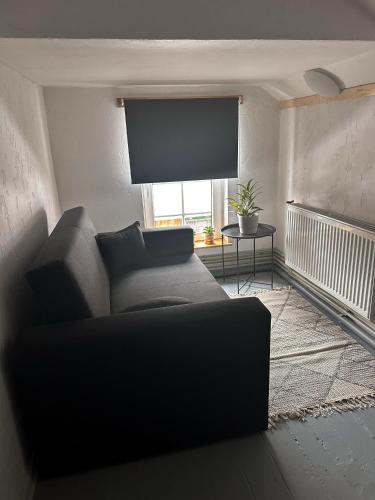 a living room with a couch and a flat screen tv at Holiday House LIL Home in Krāslava