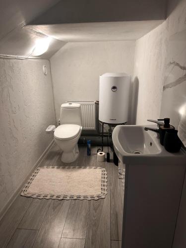 a bathroom with a toilet and a sink at Holiday House LIL Home in Krāslava