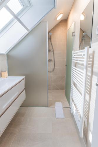Ένα μπάνιο στο Rooms Močilnik
