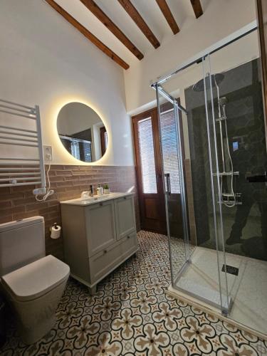 a bathroom with a shower and a toilet and a sink at Casa Rural La Torre in Chinchón