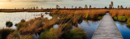 a wooden bridge over a body of water at Holiday Inn Express Pascagoula-Moss Point by IHG in Moss Point