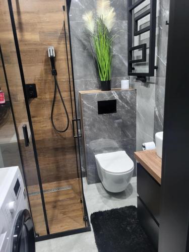 łazienka z prysznicem, toaletą i umywalką w obiekcie LUXURY apartment 2 w mieście Chełm