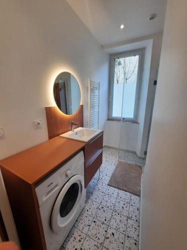 une salle de bain avec un lavabo et une machine à laver dans l'établissement Gîte Moucherolle - Ski - Domaine, à Villard-de-Lans