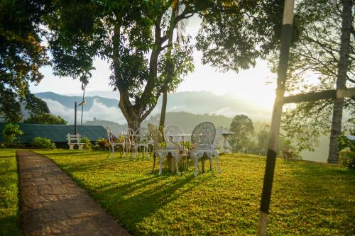 una fila de mesas y sillas en un parque en Hatale Tea Estate Bungalow, en Madulkele