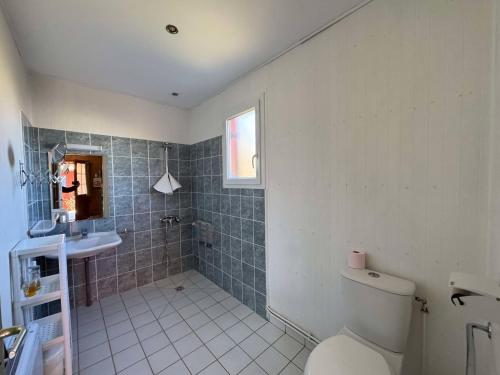 une salle de bain avec toilettes et lavabo dans l'établissement Escapade au bord du lac, Double maison, à Giffaumont