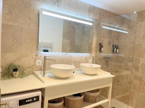 une salle de bain avec un lavabo et un miroir dans l'établissement Le lynx boréal, centre historique avec jardin, à Lons-le-Saunier