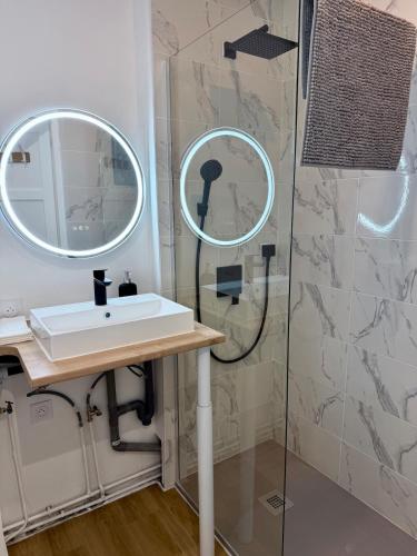 une salle de bain avec un lavabo et une douche dans l'établissement Charmant studio au cœur de Toulouse, à Toulouse