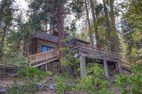 a tree house with a deck in the woods at Zephyr Cabin home in Zephyr Cove