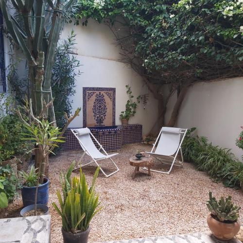 two chairs and a bench in a courtyard with plants at Villa Michel in Tamraght Ouzdar