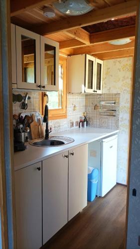 Η κουζίνα ή μικρή κουζίνα στο An original Tiny House WiFi, AC, Bikes, HO compatible