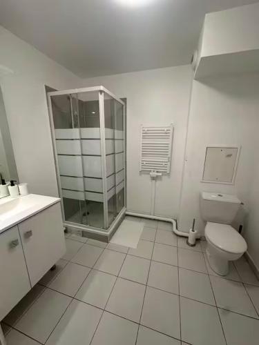 une salle de bain avec toilettes et douche en verre dans l'établissement Appartement T2 aux portes de Paris - Parking privatif, à Villejuif