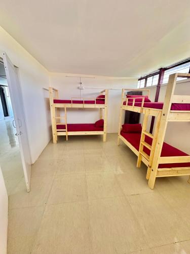 a room with three bunk beds in a room at Alora Homes Ladies Pg in Bengaluru