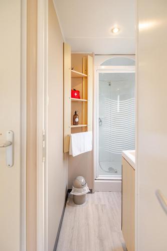 une salle de bain avec douche et toilettes dans l'établissement Mobil home climatisé, Wi-Fi, 30 minutes du Puy duFou, proche de la piscine, à La Boissière-de-Montaigu
