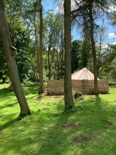 a tent in the middle of a field with trees at North Lodge Glamping in Carnwath