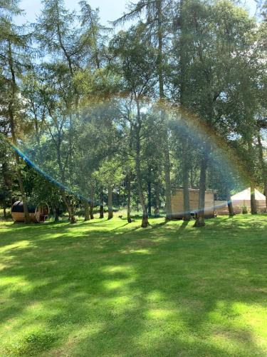 a rainbow in a field with trees and grass at North Lodge Glamping in Carnwath