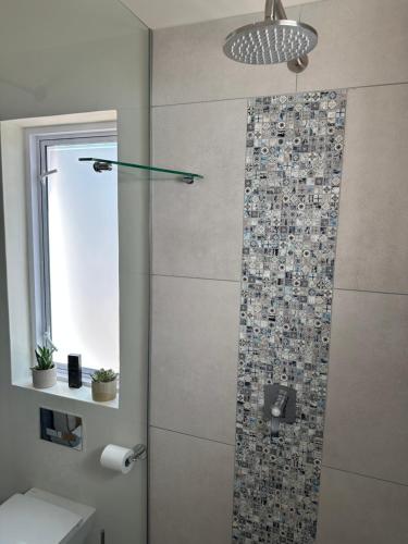 a bathroom with a shower with a glass door at Island Studio Apartment in Knysna