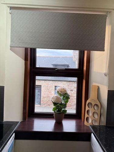 a window in a kitchen with a vase with flowers on a table at Commercial Hotel (Insch) in Insch