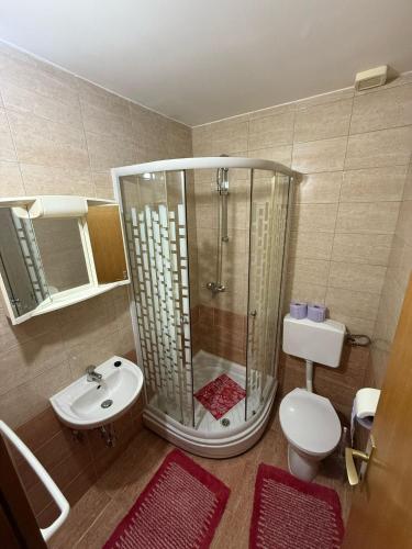 ein Badezimmer mit Dusche, Toilette und Waschbecken in der Unterkunft Sobe Ježdovec in Ježdovec