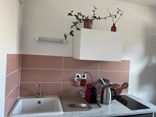 eine Küche mit Spüle und Arbeitsplatte in der Unterkunft Grand Studio avec Parking et Wifi in Castelnau-le-Lez