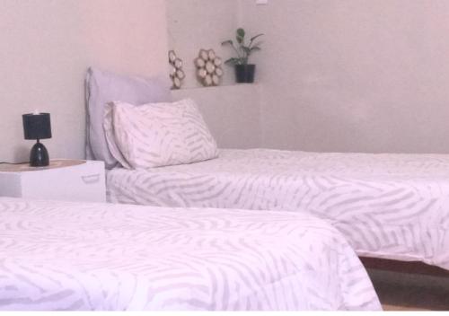 a bedroom with two beds and a plant on the wall at Suider Ozias Self Catering in Windhoek