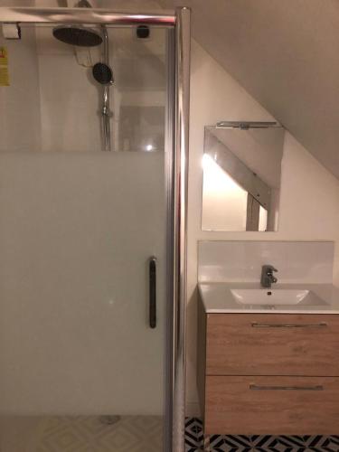 une salle de bain avec douche et lavabo dans l'établissement Le Voyageur A la plage vue mer, à Berck-sur-Mer