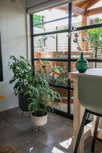 a room with a table with a plant and a window at Dasi סוויטות אירוח in Moshav Ramot