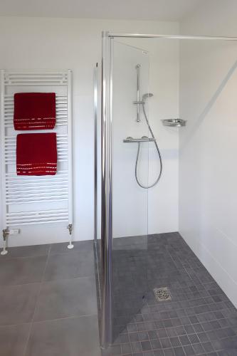 La salle de bains est pourvue d'une douche et de serviettes rouges sur une fenêtre. dans l'établissement Le Château d'Eau, à Wissembourg