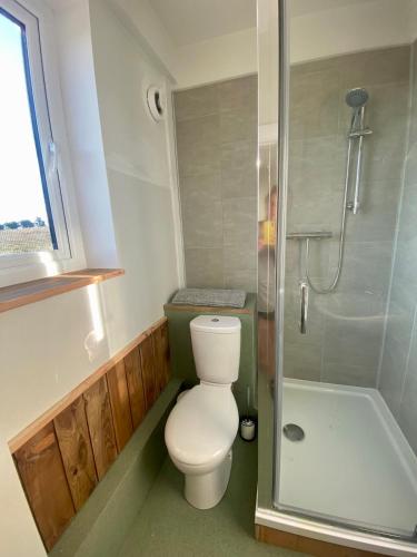a bathroom with a toilet and a shower at Burren Nature Sanctuary Apartment in Galway