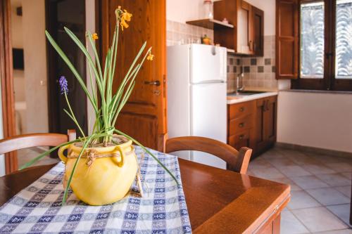 a kitchen with a table with a vase with a plant in it at Case vacanze Torrerusso in Casa Pupo