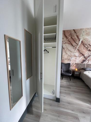 a hallway with a mirror and a painting on the wall at Studio Sylvinite in Wittelsheim