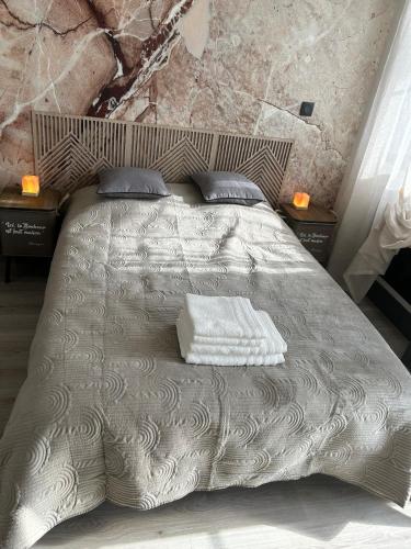 a bedroom with a bed with two pillows at Studio Sylvinite in Wittelsheim