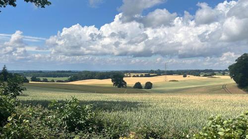 a large field of grass with a cloudy sky at Landhaus Köhn in Giekau