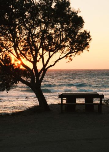 a picnic table under a tree next to the ocean at Villa Anastasia in Apolakkiá