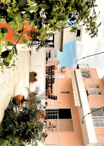 a building with plants in front of it at Villa Anastasia in Apolakkiá