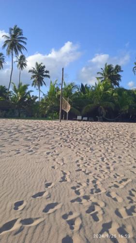 a sandy beach with a hammock and palm trees at Aloe Vera Garden in Tangalle