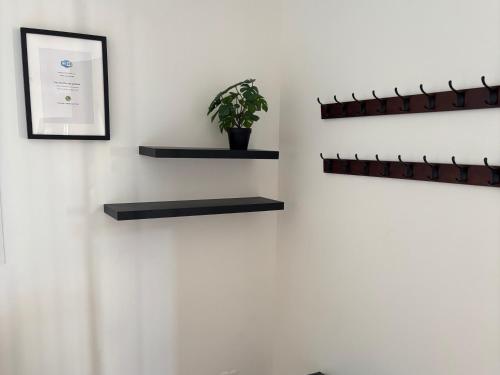 a wall with black shelves and a potted plant at La Volcane - Quiet house in Le Chesnay