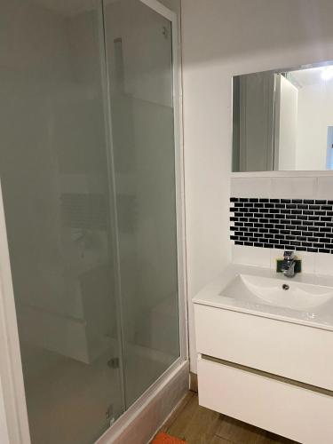 une salle de bain avec douche et lavabo dans l'établissement Cozy apartment Gare, à Poitiers