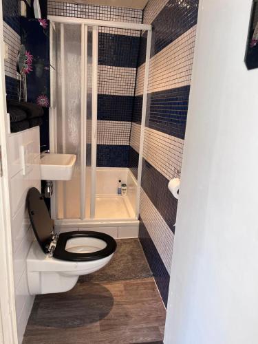 a small bathroom with a toilet and a sink at Comfortabel studio 19 min from downtown Amsterdam in Purmerend