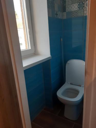 a blue bathroom with a toilet and a window at Apartmán Mírová in Nové Město na Moravě