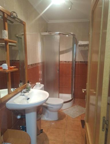 a bathroom with a shower and a toilet and a sink at El Mirador del Esla in Villanueva de las Manzanas